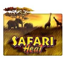 Safari Heat - TROPICANA77