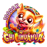 CHILIHUAHUA - TROPICANA77