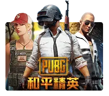 Pubg - TROPICANA77