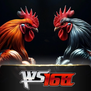 Ws168 Sabung - TROPICANA77