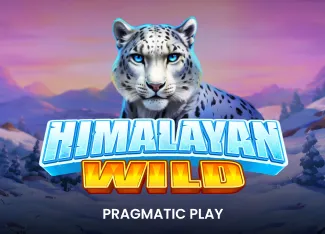 Himalayan Wild - TROPICANA77