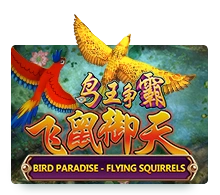 Bird Paradise - TROPICANA77