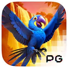 Wings of Iguazu - TROPICANA77
