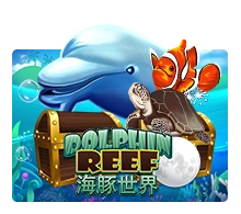 Dolphin Reef - TROPICANA77