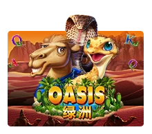 Oasis - TROPICANA77