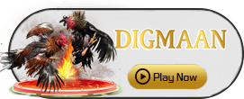 Digman - TROPICANA77